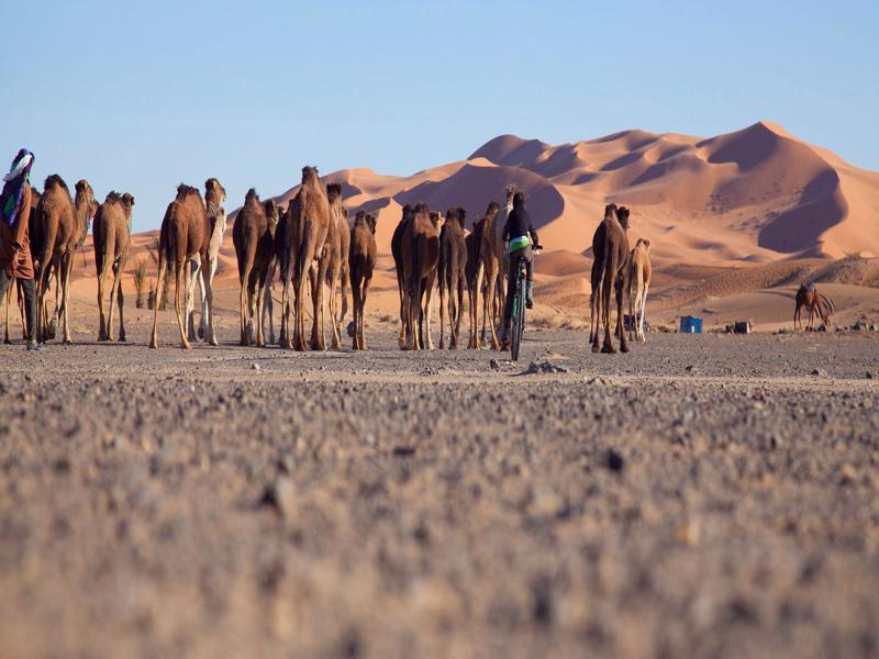 Kam Kam Dunes Merzouga Luaran gambar
